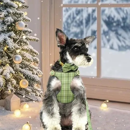 YTYIN Dog Harness And Leash Set With Bow And Plaid Collar