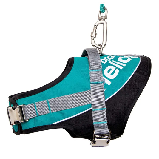 Reflective Endurance Adjustable Dog Leash And Harness Combo