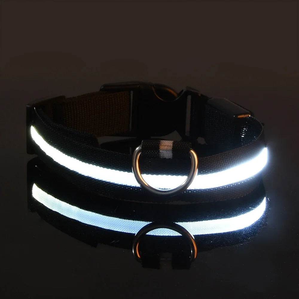 Nylon LED Night Safety Dog Leash And Collar Glow Bright