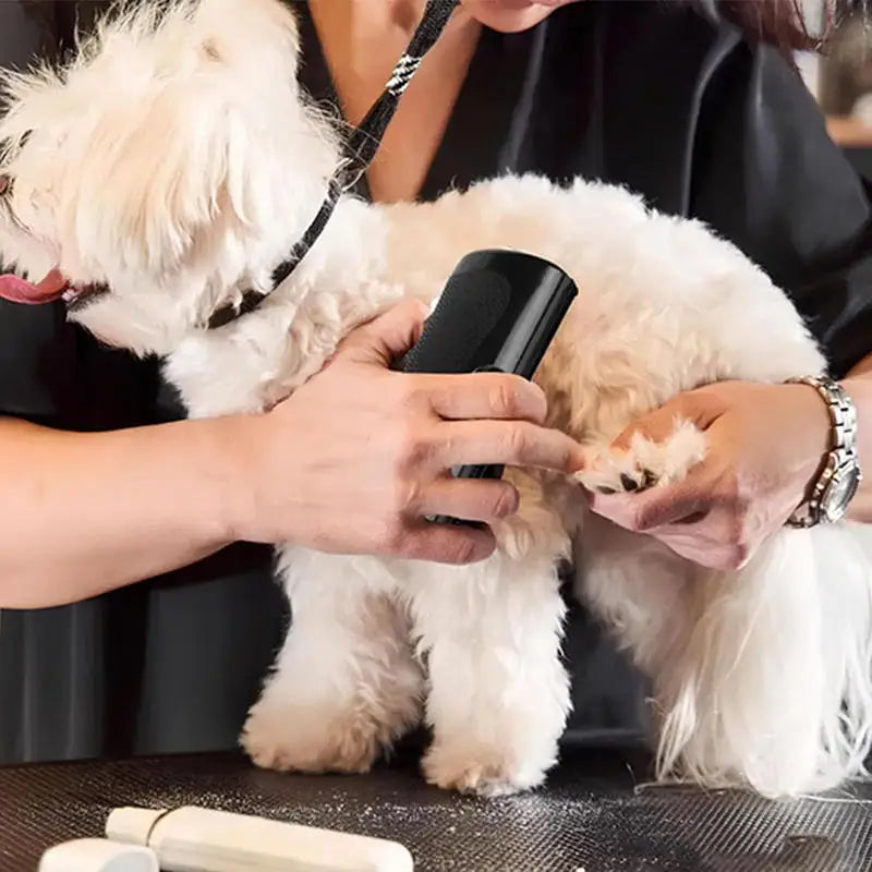 Professional Pet Deshedding Brush Multifunctional Ergonomic Grooming Tool