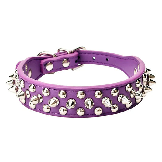 Rivet Collar and Leash Set for Medium to Large Dogs