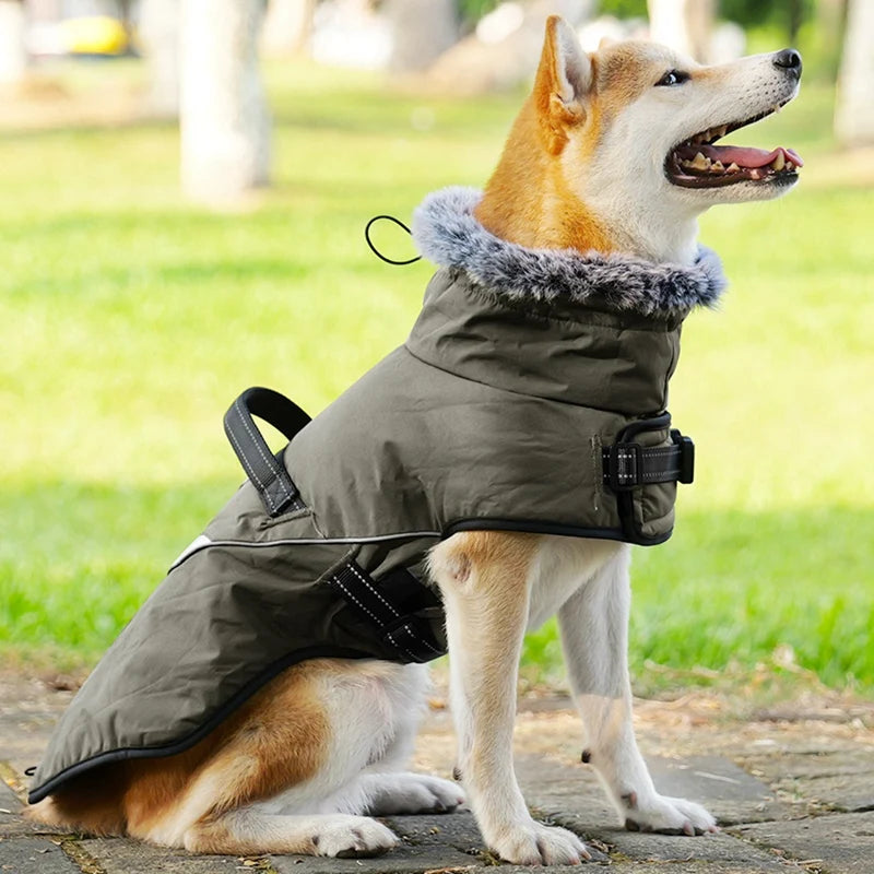 Winter Dog Jacket Puppy Warm Coat With Harness for Small Large Dogs Fur Collar Clothes Waterproof Labrador French Bulldog Outfit