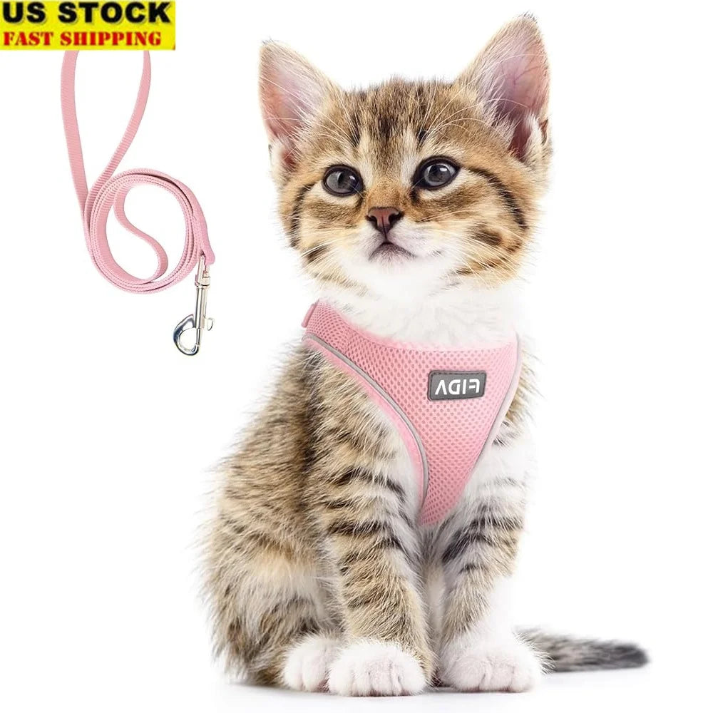 Adjustable Escape Proof Mesh Cat Harness And Leash Set
