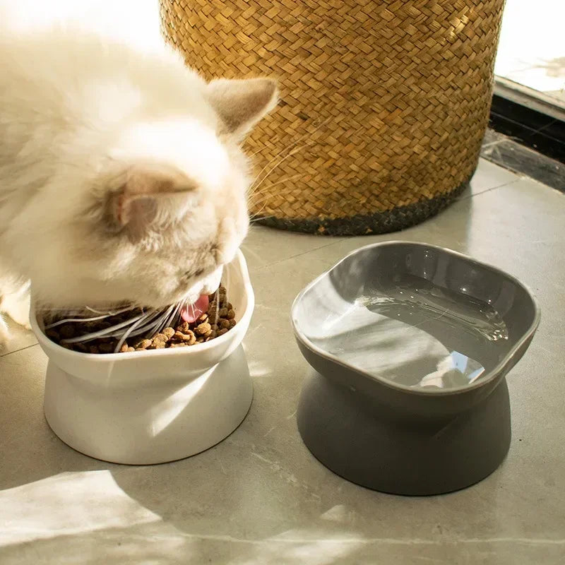 Hign-concerned Oblique Mouth Pet Food Bowl for Dogs and Cats