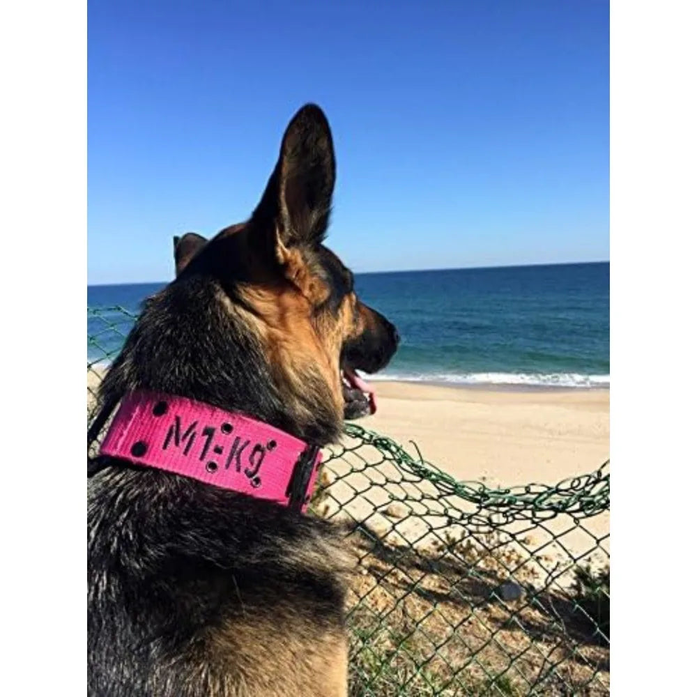 Pro Series Generation 3 M1K9 Dog Collar With Pouch Leash