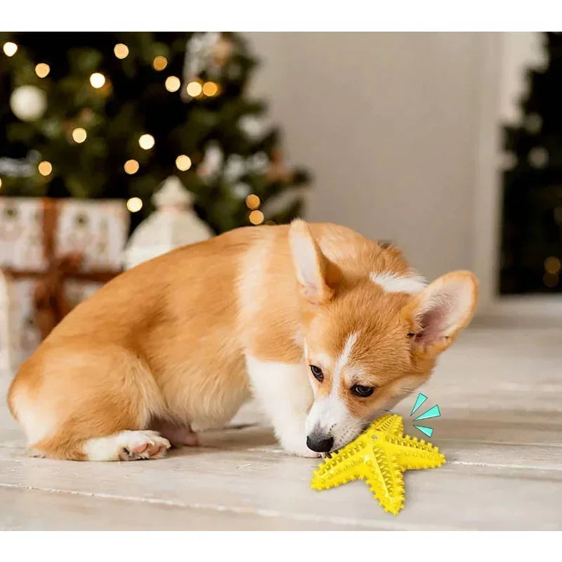 Hign-concerned Vocal Starfish Dog Toy Interactive Rubber Balls DentalTeethCleaning