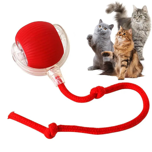 Rechargeable Interactive Rolling Cat Toy Ball Indoor Play