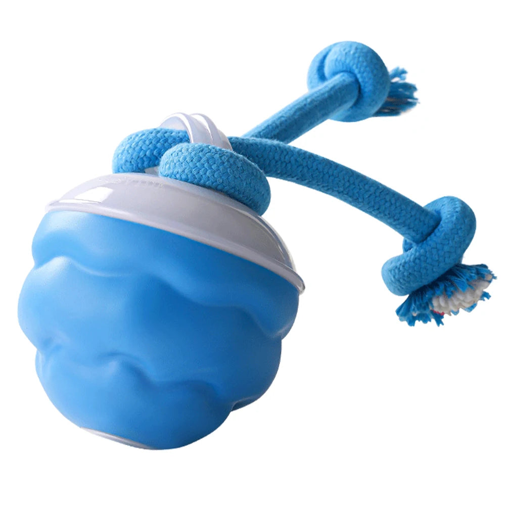 Shunmaii Interactive Dog Toy Ball Rope Automatic Bouncing USB Rechargeable
