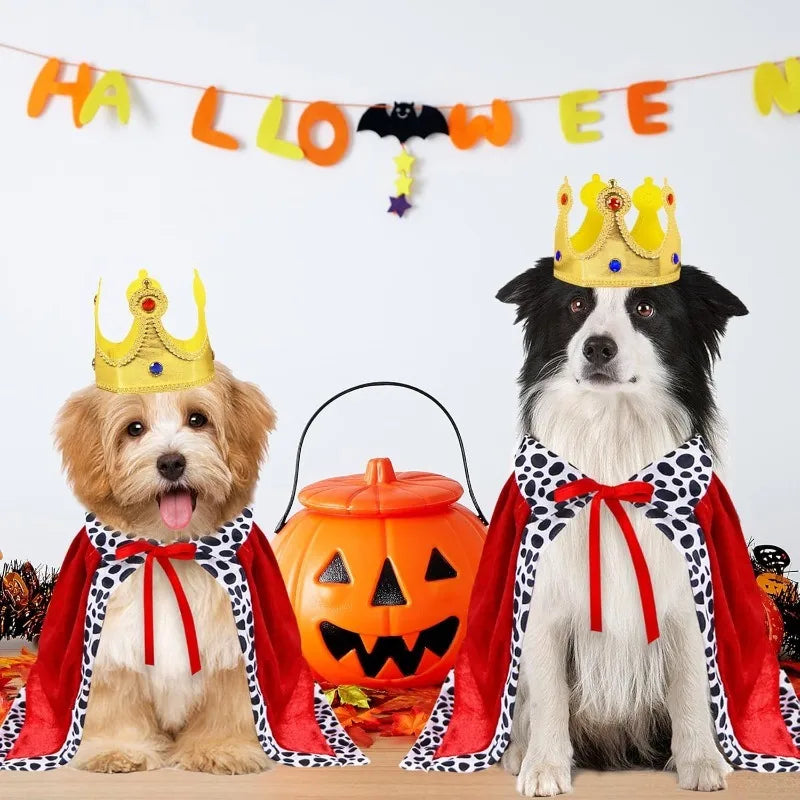 Halloween Dog Party Costumes Funny Dog King Costume for Small Medium Large Dogs Weird Pet Cloak Transformation Suit Holiday Gift