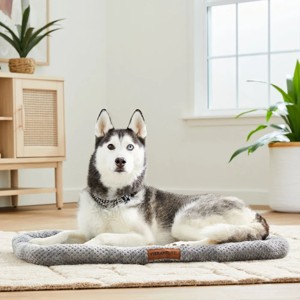 Cozy Dog Crate Mat 30 Inch Padded Cushion Plush Foam Support Soft Fabric Machine Washable Bolstered Pet Bed