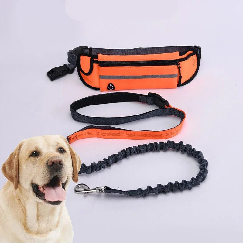 Booteely Hands Free Dog Leash Reflective Retractable With Waist Bag Belt