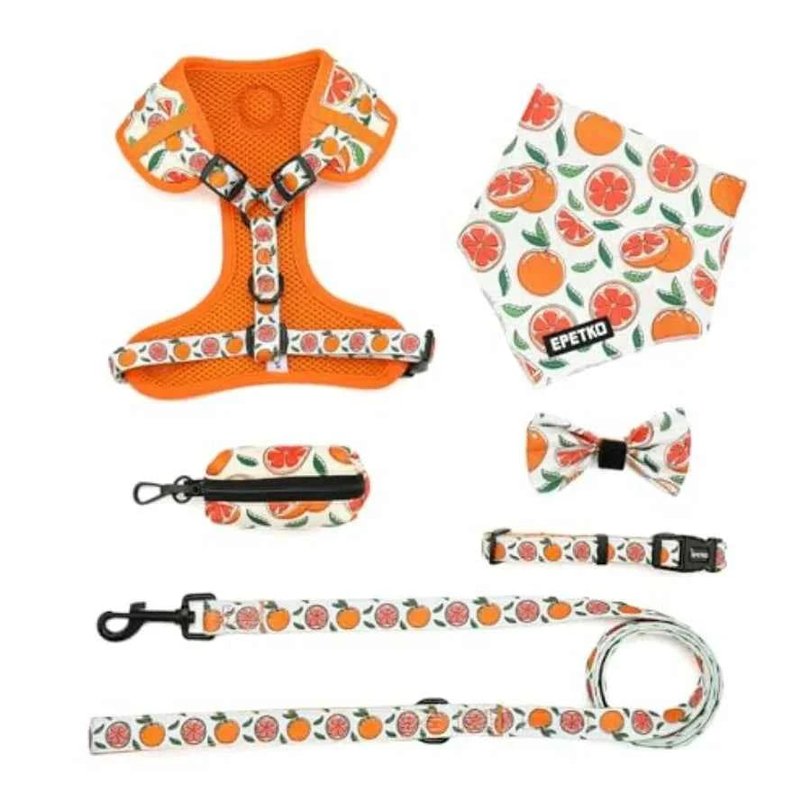 Small Dog Harness and Leash Set of 6, No Pull Soft Lightweight Mesh Puppy Harness Adjustable Cute Floral Pattern Pet Harness fo