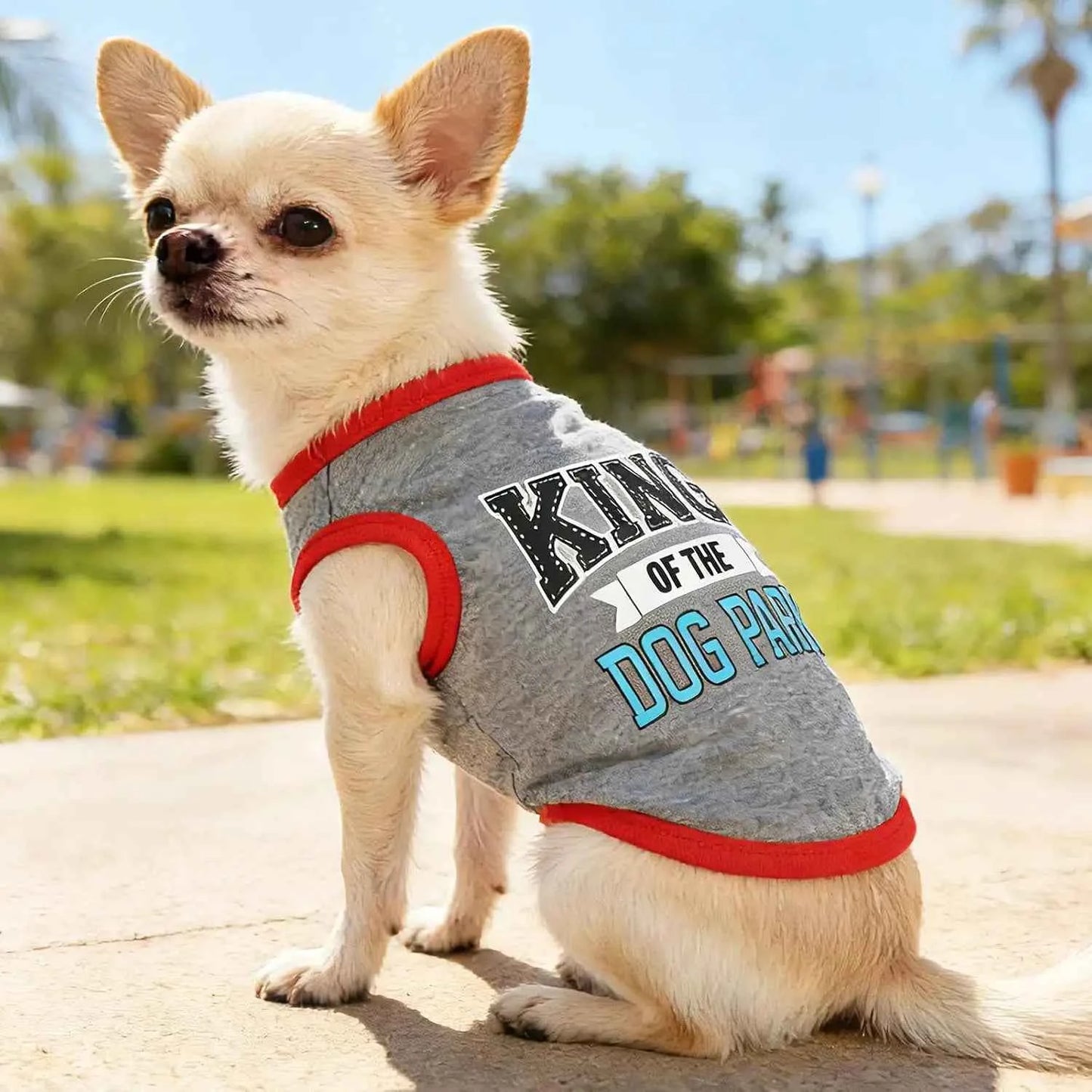 4 Pack Summer Dog Shirts for Small Dogs Chihuahua Yorkie Soft Cute Pattern Pet Clothing Pink Grey Red Green XXS~M