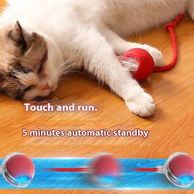 Interactive Cat Ball Toy Auto Rolling Teaser Sensor Kitten Rechargeable