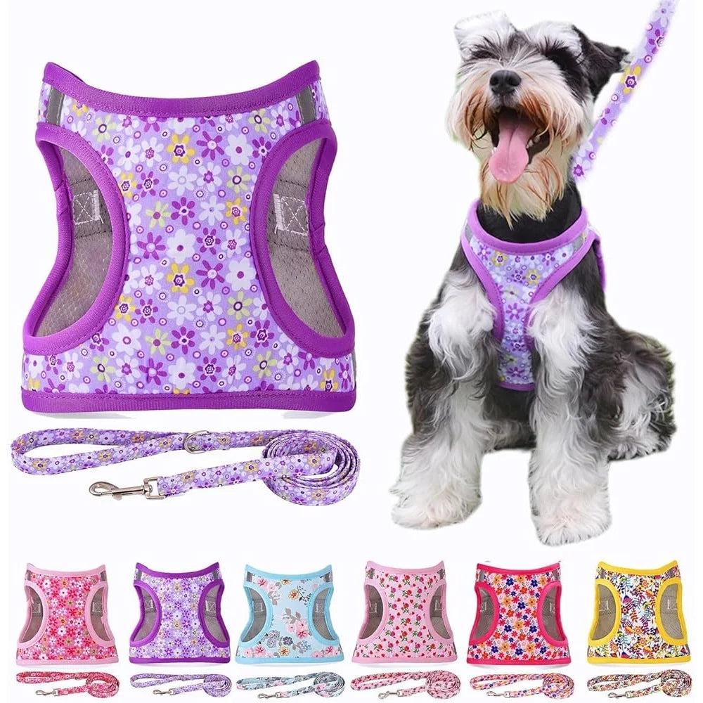 Reflective No Pull Dog Harness Leash Set Padded Mesh Vest