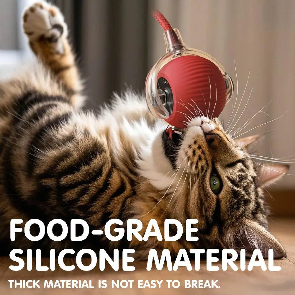 Rechargeable Interactive Rolling Cat Toy Ball Indoor Play