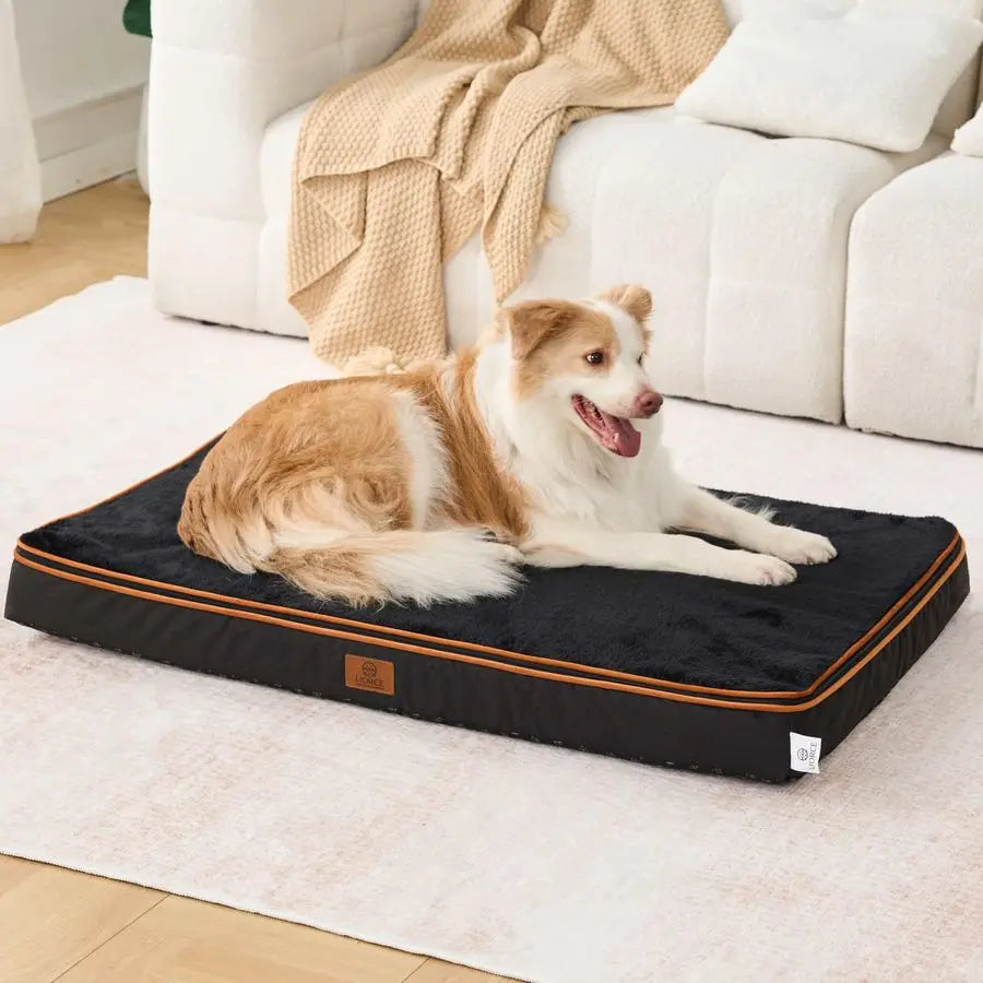 Orthopedic Foam Dog Bed With Waterproof Removable Cover Wraparound Zip