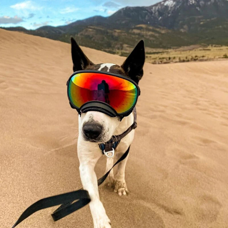 PETRAVELCN Dog Goggles Sunglasses Anti UV Windproof Eyewear