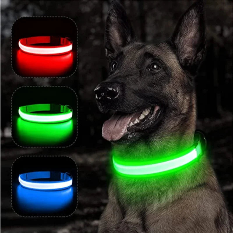USB Charging Glowing Dog Collar With Pendant LED Night Safety
