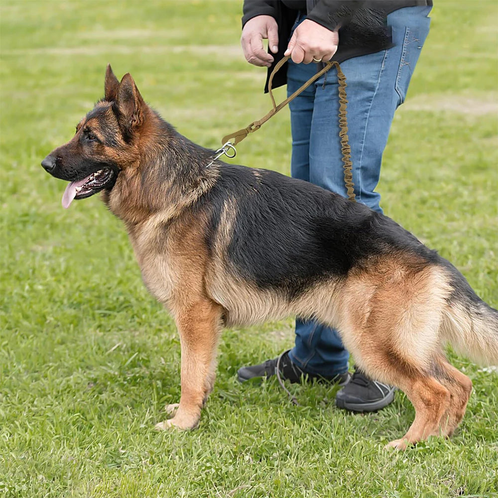 PETRAVEL Military Adjustable Dog Leash With Quick Release Dual Handles