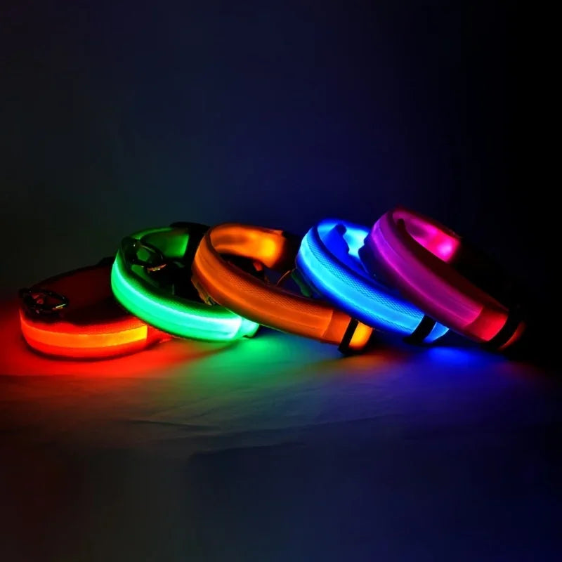Nylon LED Night Safety Dog Leash And Collar Glow Bright