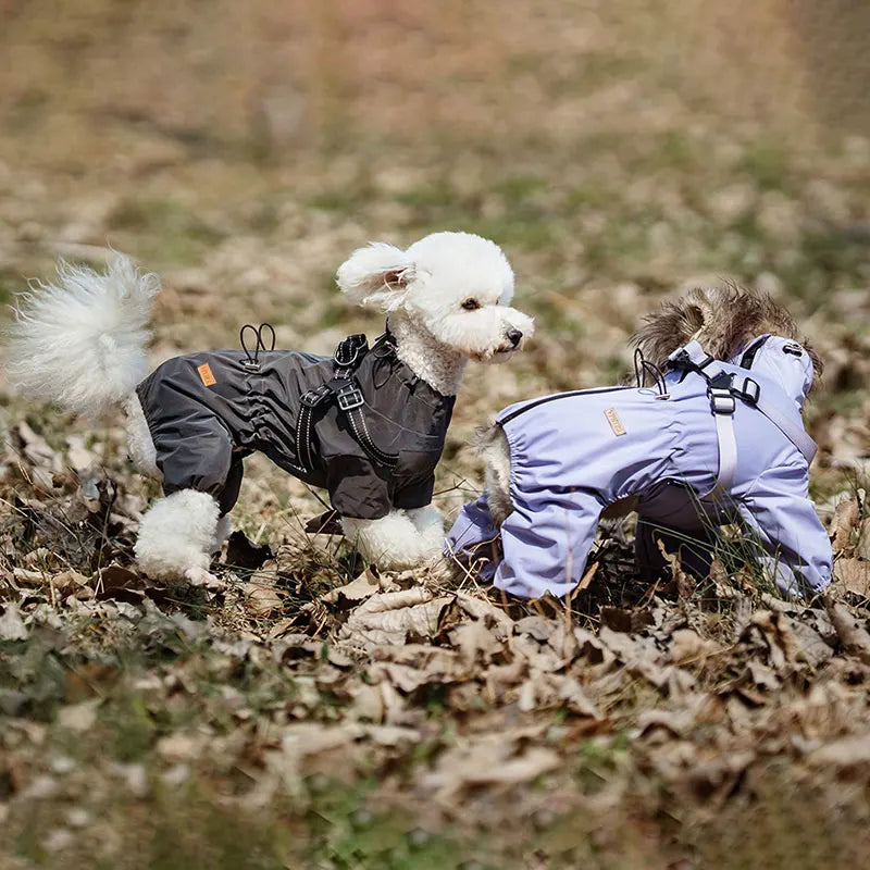 NONE Dog Raincoat With Harness Waterproof Jacket Reflective