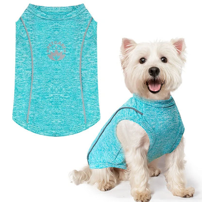 Pet Dog Shirt Quick Dry Dog T-Shirt Chihuahua Breathable Thin Sun Protection Dog Shirt Puppy Outdoor Clothes Summer Pet Supplies