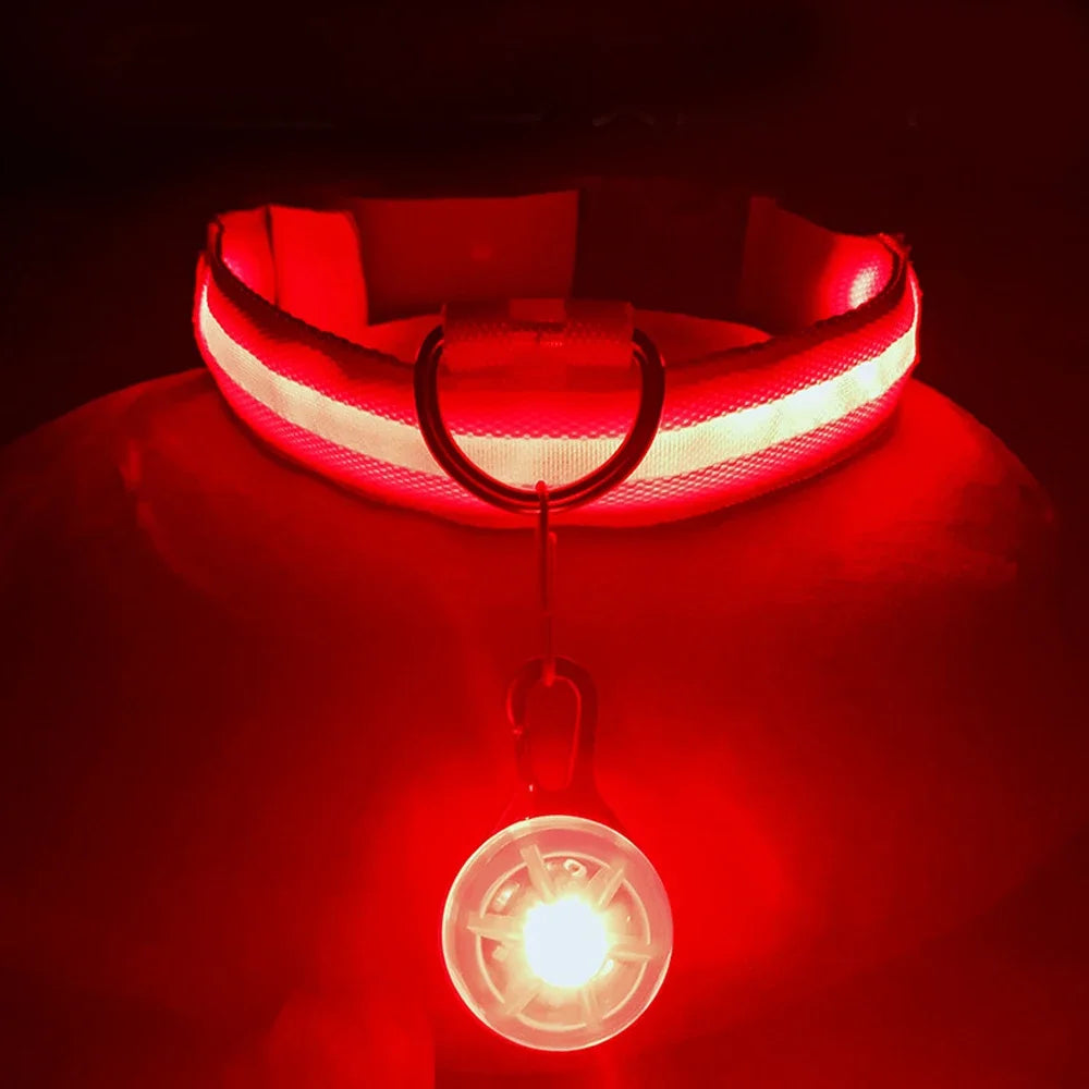 USB Charging Glowing Dog Collar With Pendant LED Night Safety