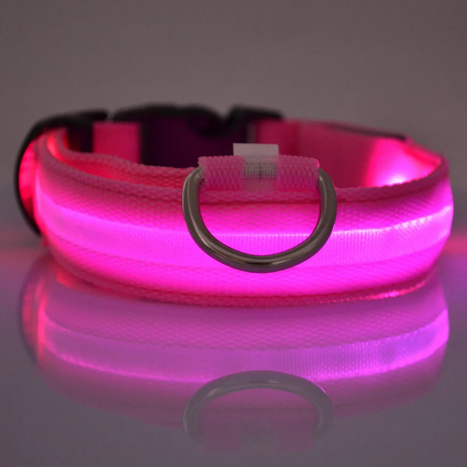 Nylon LED Night Safety Dog Leash And Collar Glow Bright
