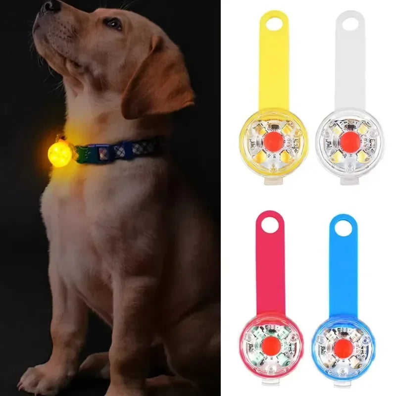 Guangdong LED Pet Tracking Pendant For Dogs USB Rechargeable Light