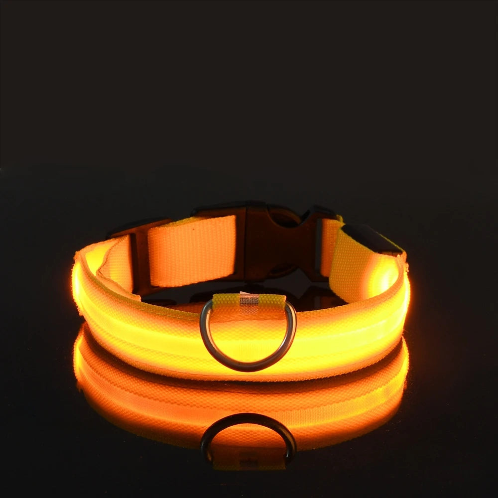 Nylon LED Night Safety Dog Leash And Collar Glow Bright