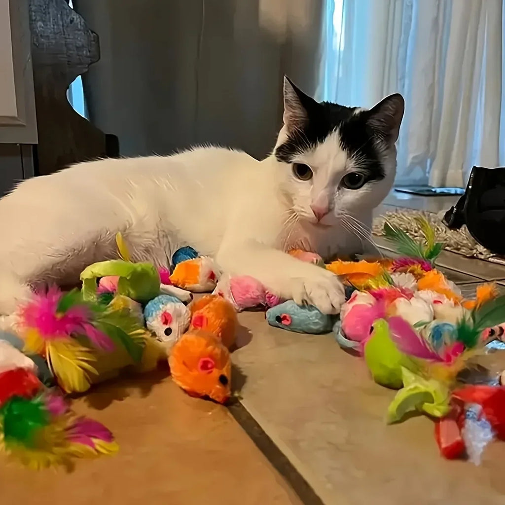 Cat Toys Mixed Pack Of Plush And Plastic For Cats