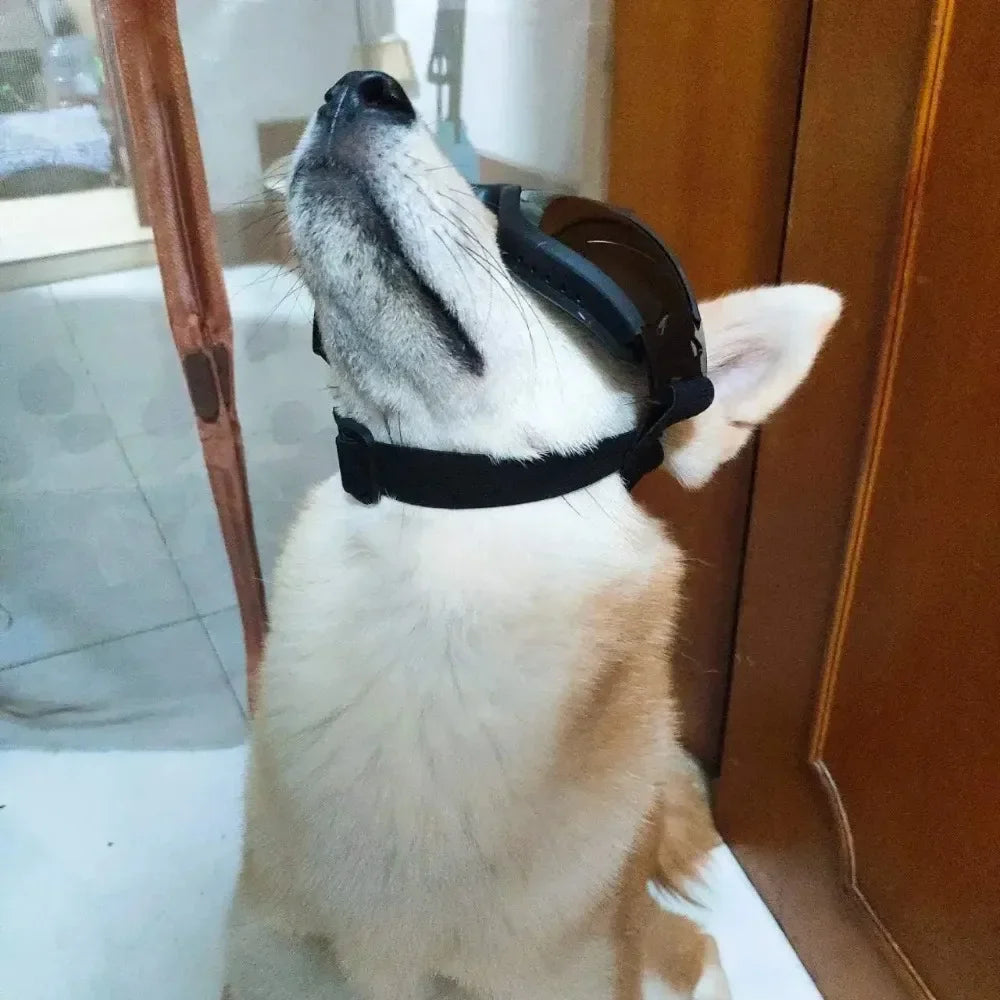Adjustable Dog Goggles Anti UV Sunglasses Eye Protection