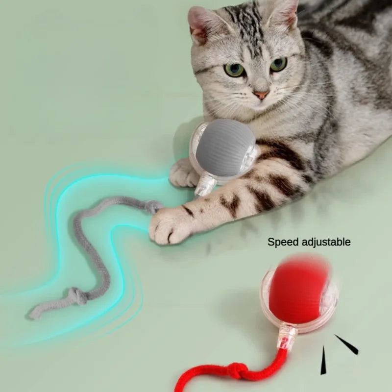 Interactive Cat Ball Toy Auto Rolling Teaser Sensor Kitten Rechargeable