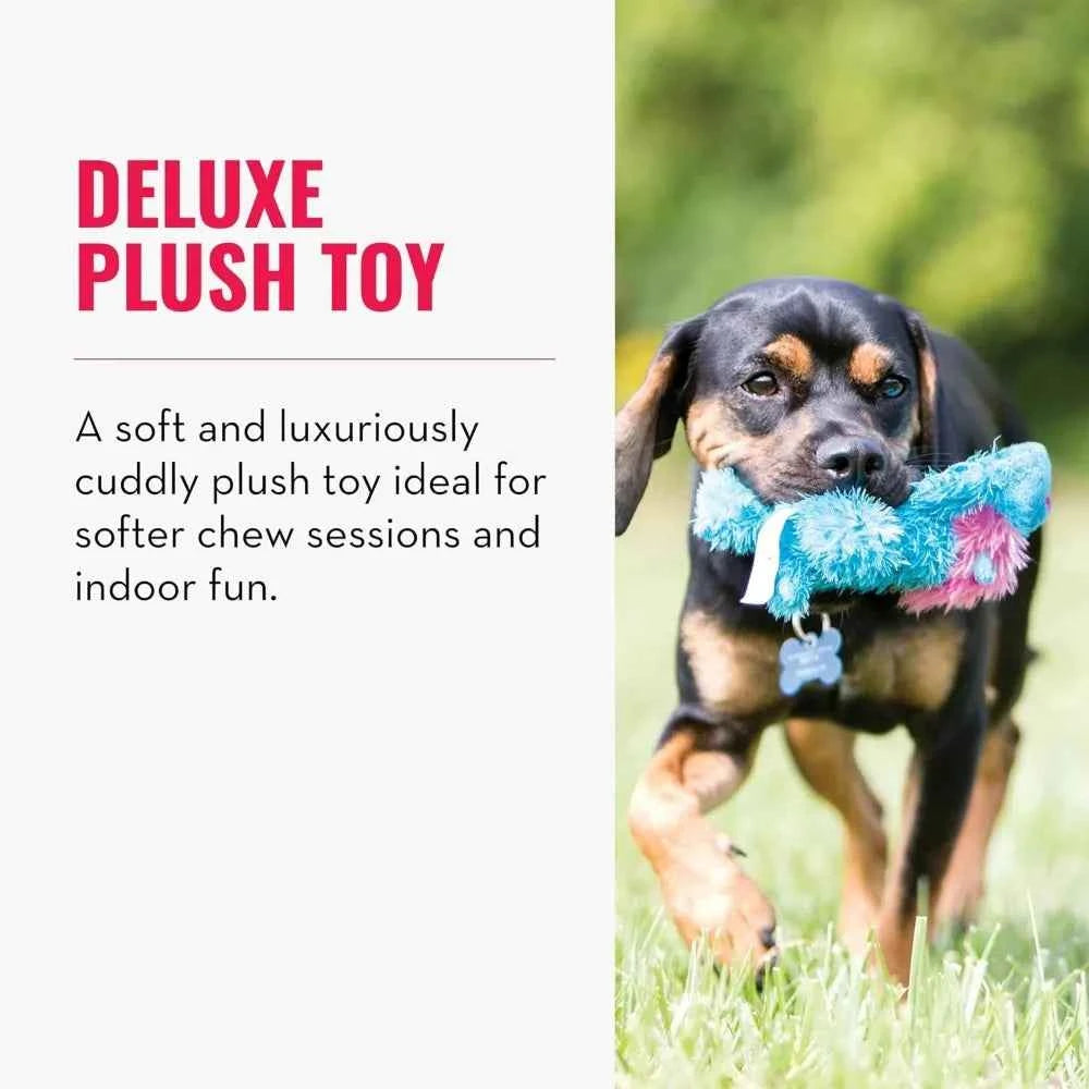Small Alligator Cozie Dog Toy, Minimal Mess, Squeaky, Durable, 2 Sizes
