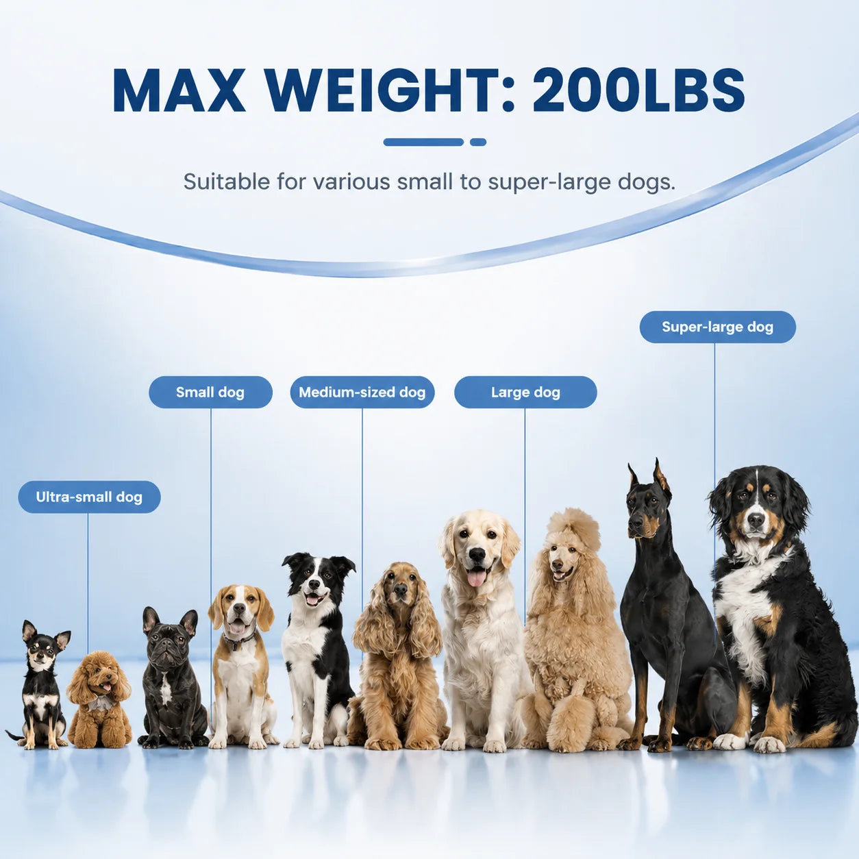 VANCEN Inflatable Dog Ramp for Small Dogs Easy Assembly Supports up to 230lbs Ideal Pet Accessory for Lakes Rivers Beaches