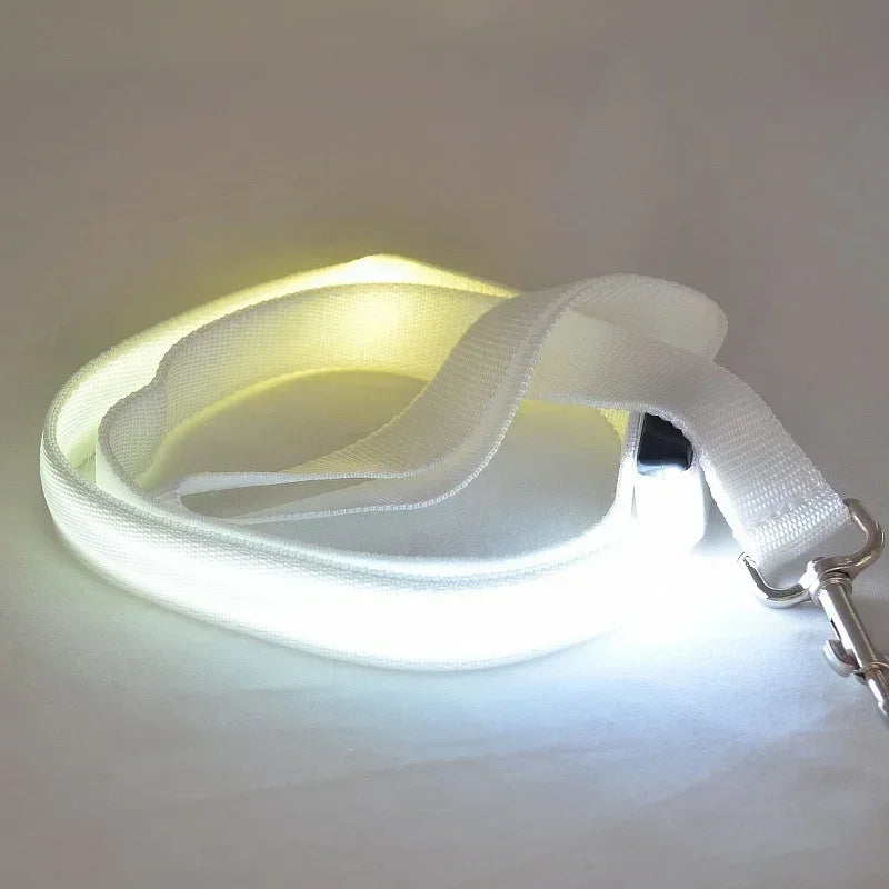 LED Light Up Dog Safety Leash Luminous Flashing Lead