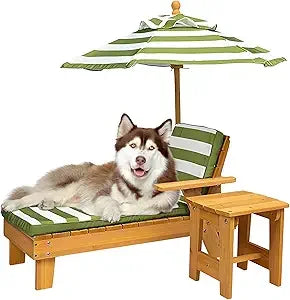 Elevated Dog Bed for Large Dogs with Waterproof Canopy | Indoor/Outdoor Pet Chaise for Backyard, Pool, Beach | Removable Cushion
