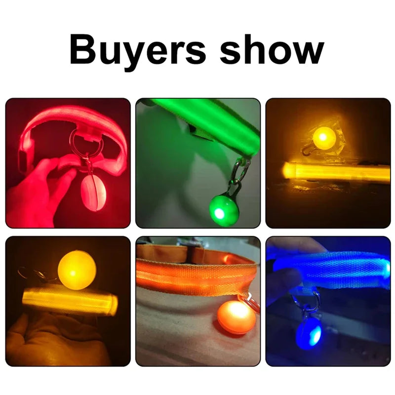 USB Charging Glowing Dog Collar With Pendant LED Night Safety