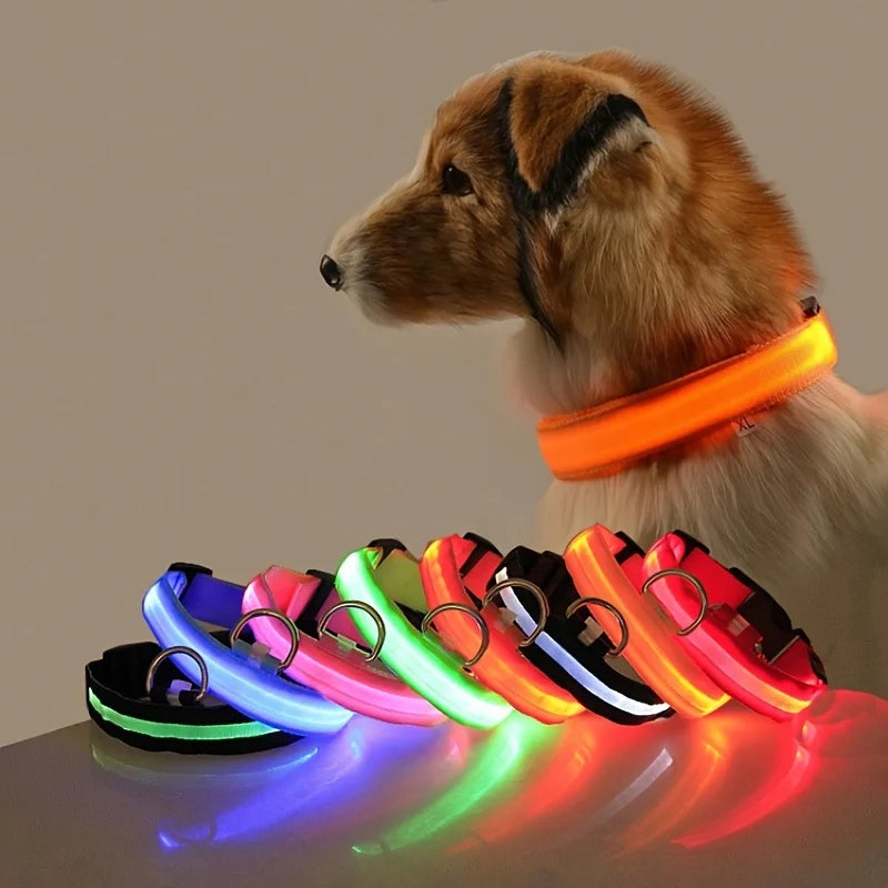 Nylon LED Night Safety Dog Leash And Collar Glow Bright
