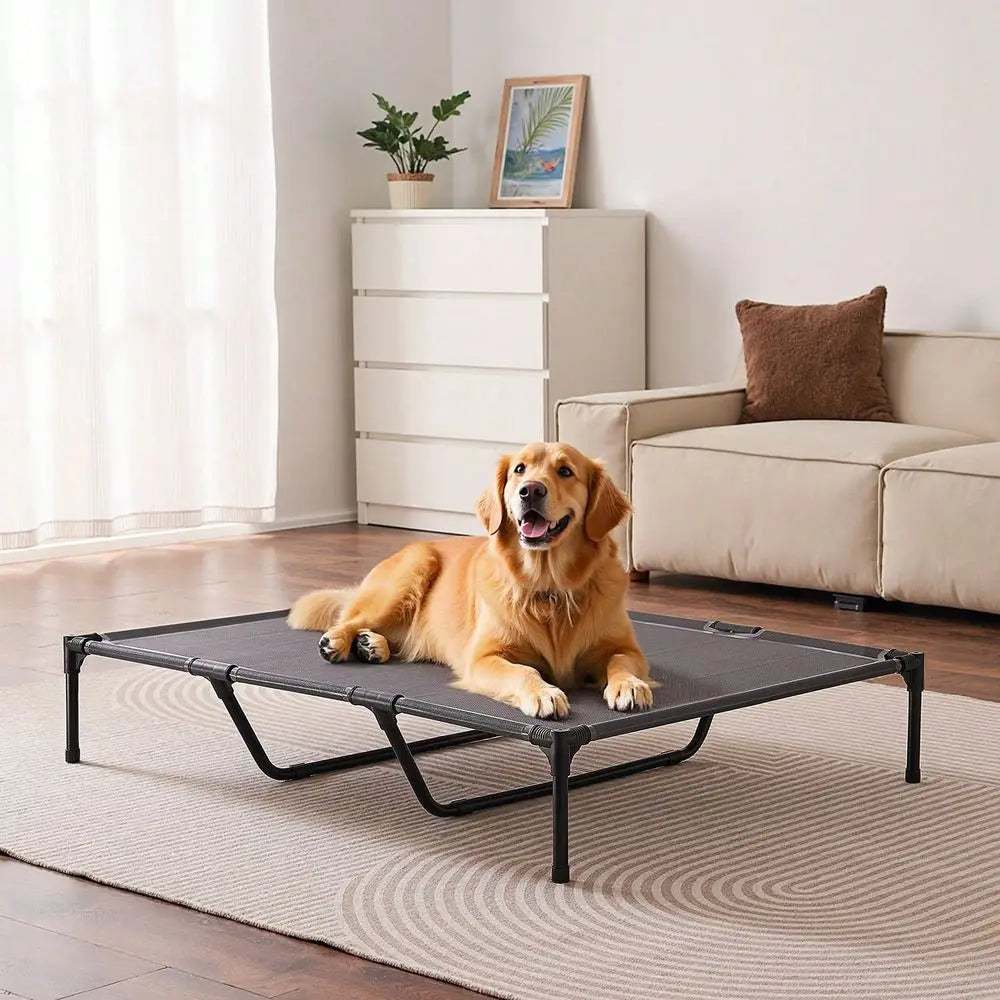 Portable Raised Dog Cot Bed With Washable Pillow Indoor Outdoor