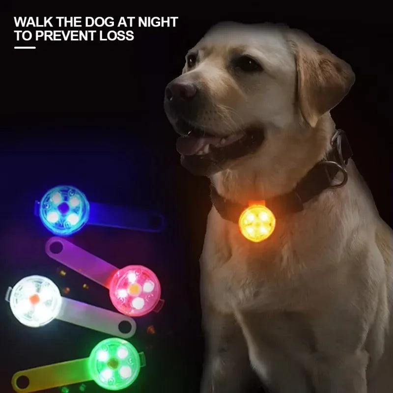 Guangdong LED Pet Tracking Pendant For Dogs USB Rechargeable Light