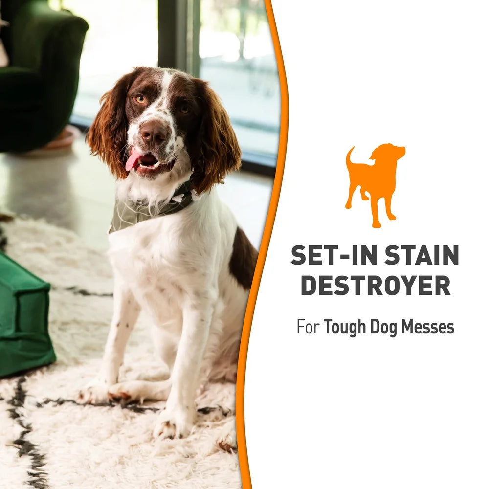 Set-In Stain Destroyer Dogs Oxy Formula Pet Stain Remover 1 Gallon Orange Scent Deep Clean Odor Eliminator Safe Home