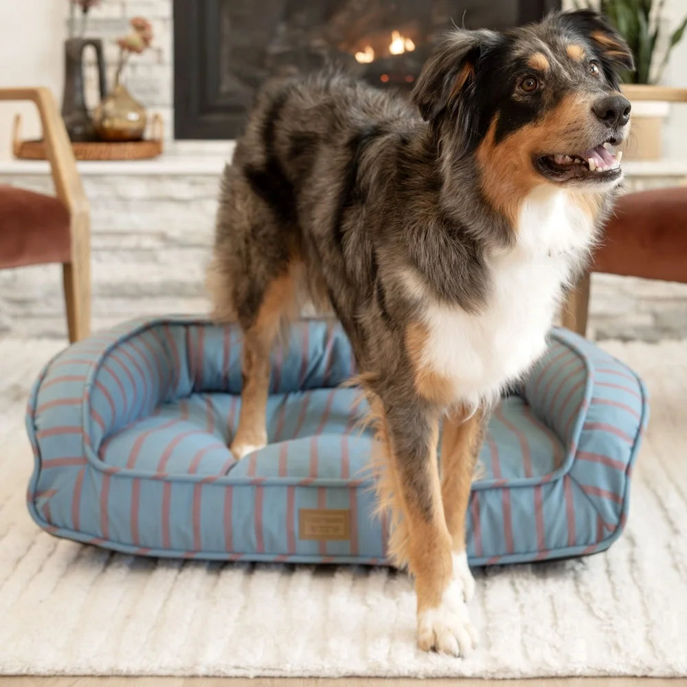 XMSJ Dog Bed Memory Foam Eco Friendly Removable Cover