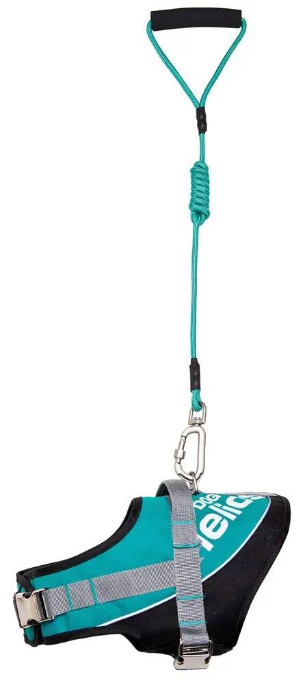 Reflective Endurance Adjustable Dog Leash And Harness Combo