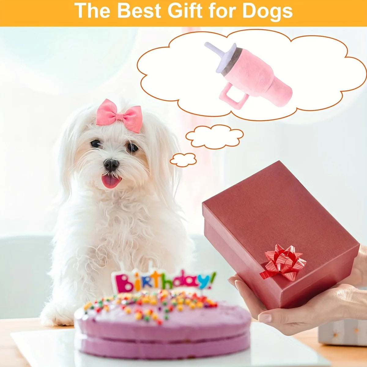 Dog Water Cup BPA-Free Floating Fetch Toy For Pool