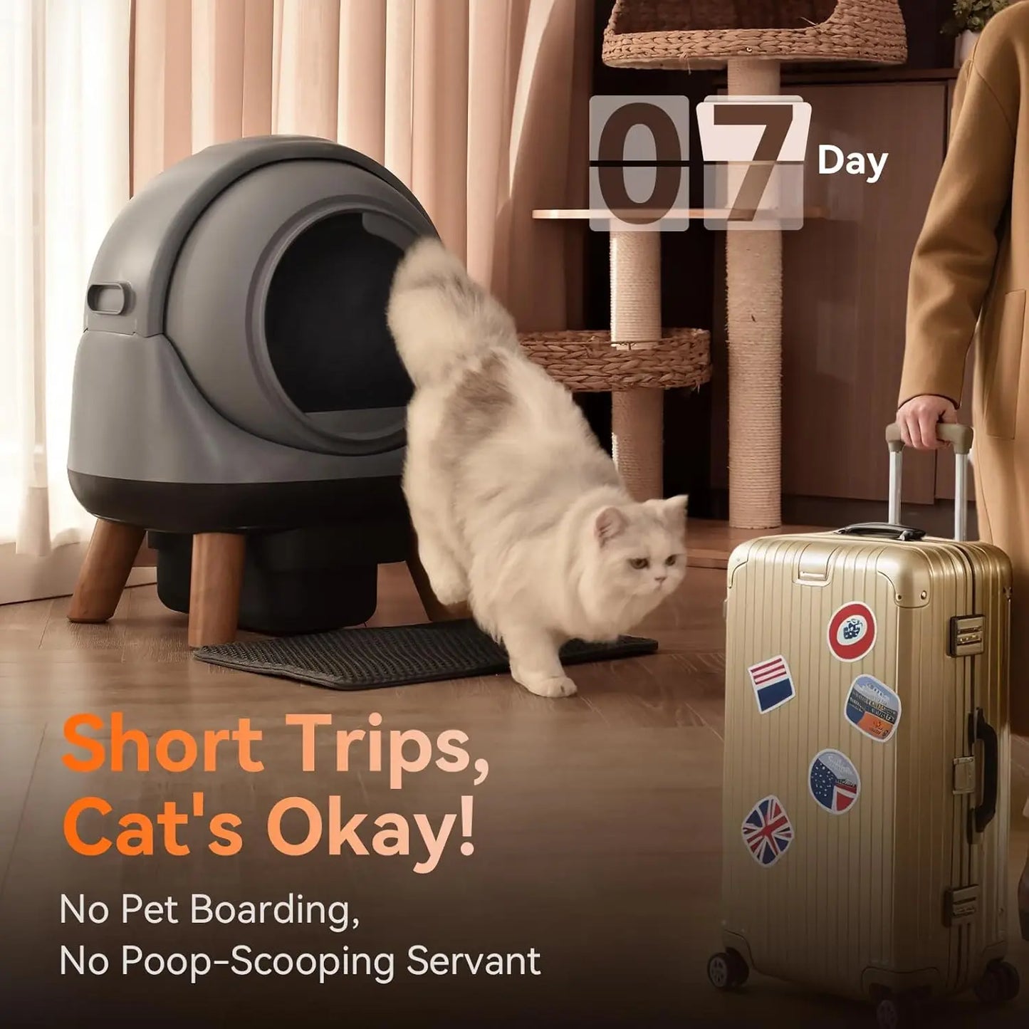Automatic Self Cleaning Litter Box, Smart App Health Monitor, Multi Cat XL, 65L Grey, Custom