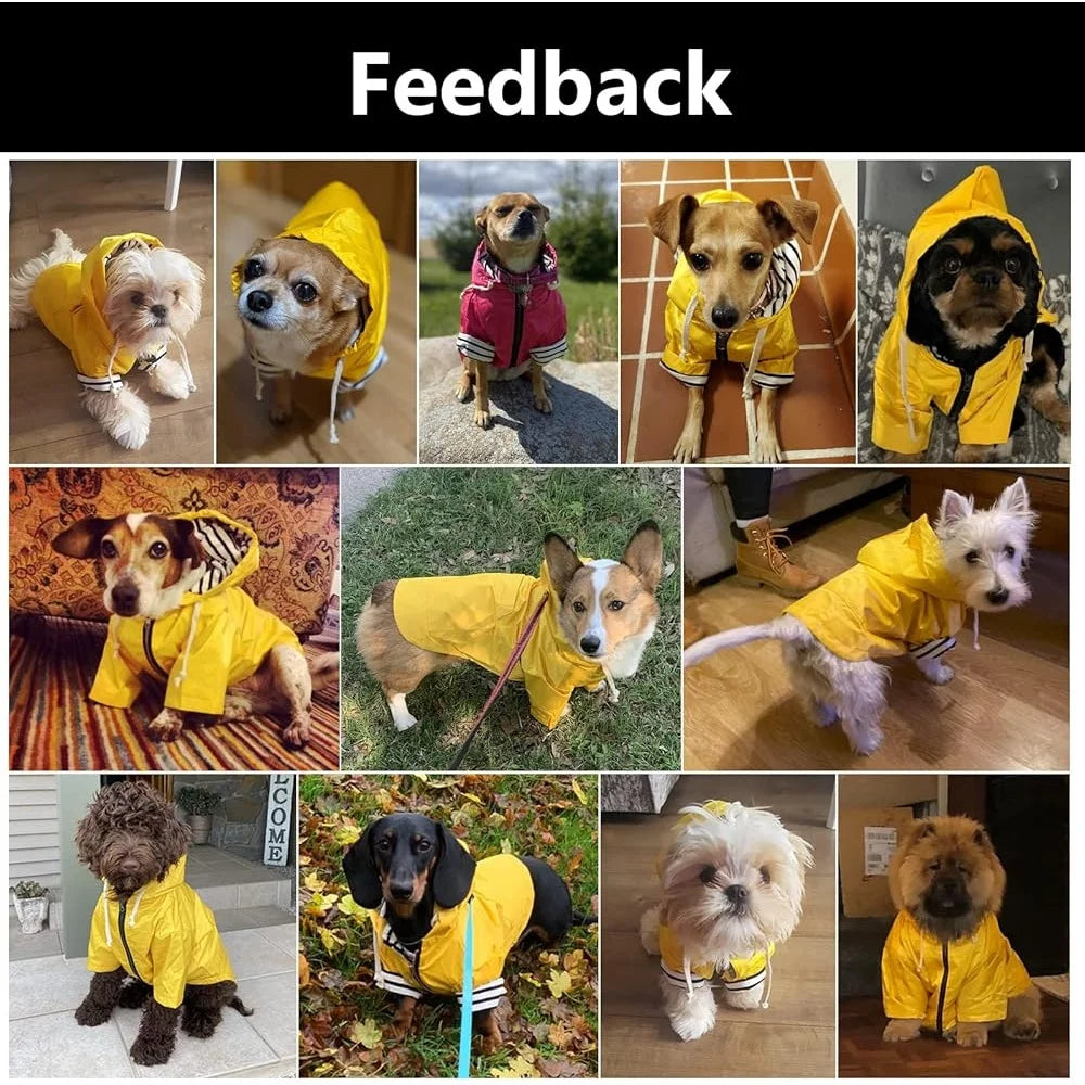 Waterproof Dog Raincoat Jacket With Harness Hole Pocket