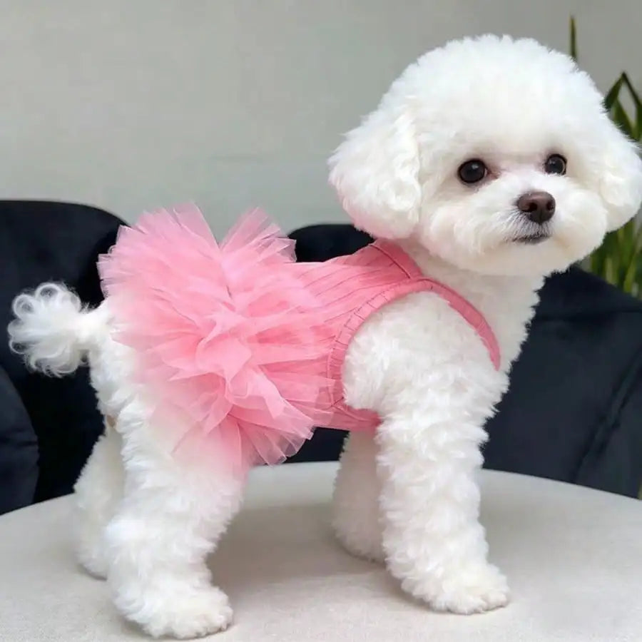 Sweet Dog Tutu Clothes Valentine Day Dress Celebration Birthday Outfit