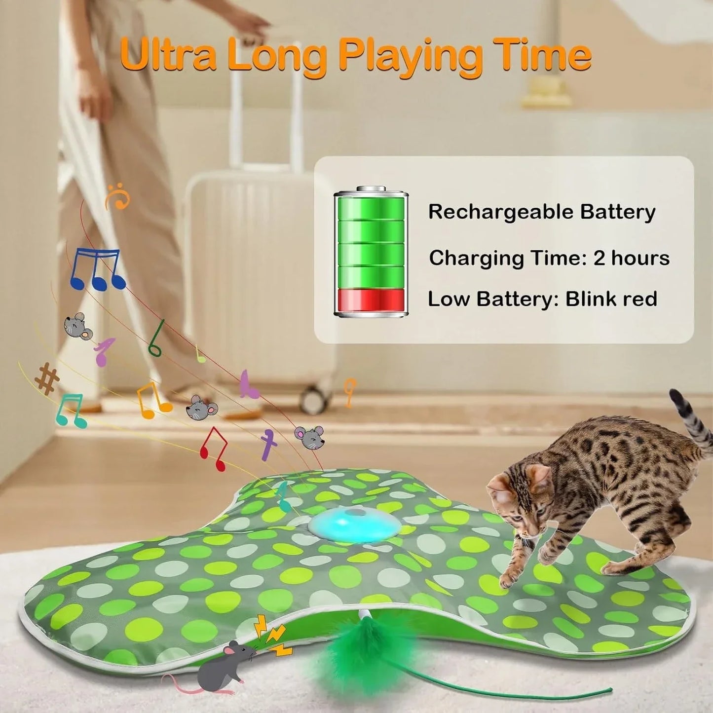 Smart Interactive Hide And Seek Cat Toy With Squeaky Mouse